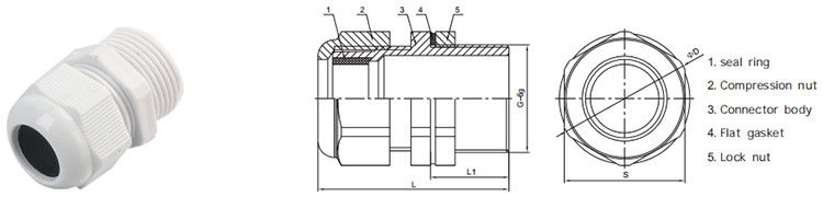 Explosion Proof Cable Gland BDM-I - Explosion Proof Pipe Fittings - 2