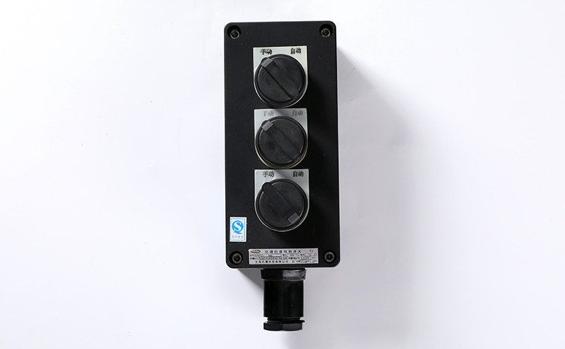 interruttore luminoso antideflagrante e resistente alla corrosione bzm8030-10
