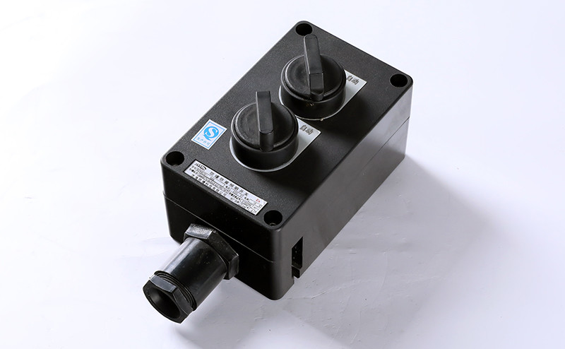 interruttore luminoso antideflagrante e resistente alla corrosione bzm8030-7