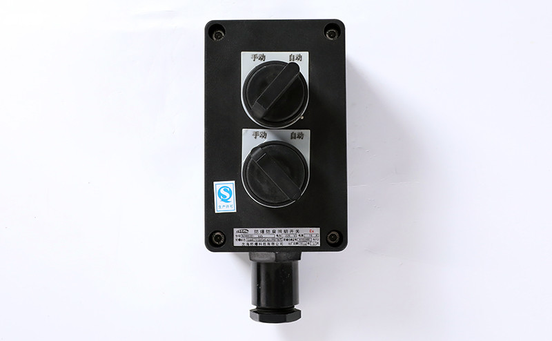 interruttore luminoso antideflagrante e resistente alla corrosione bzm8030-8