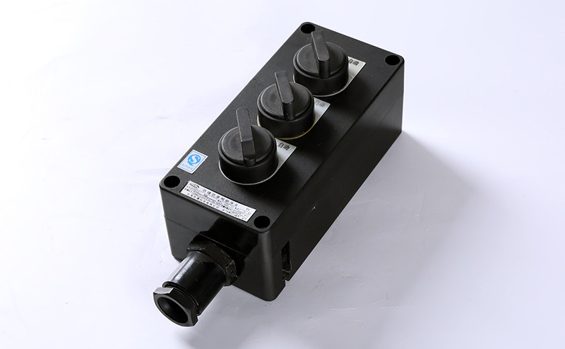 interruttore luminoso antideflagrante e resistente alla corrosione bzm8030-9