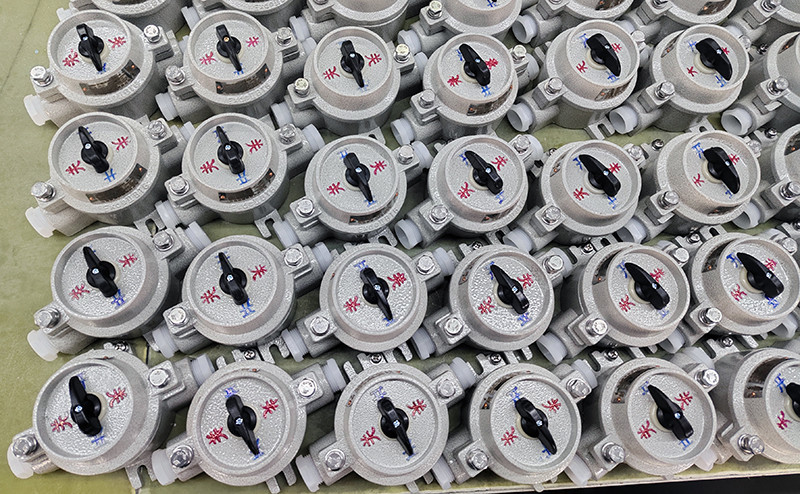 Explosion-Proof Lighting Switch SW-10 - Explosion-Proof Push Button Switch - 6