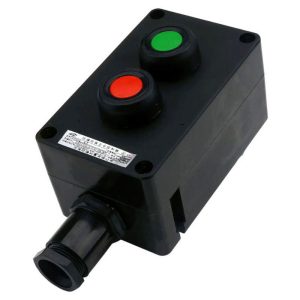 Explosion-Proof Corrosion-Resistant Double Push Button ZXF8030