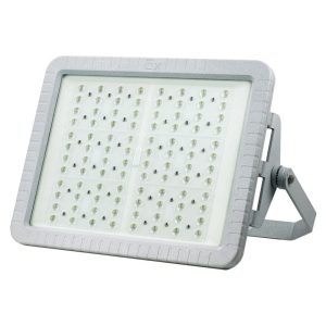 Explosion Proof Light BED51