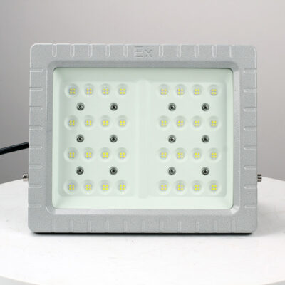 Explosion-Proof Light BED57-II detail
