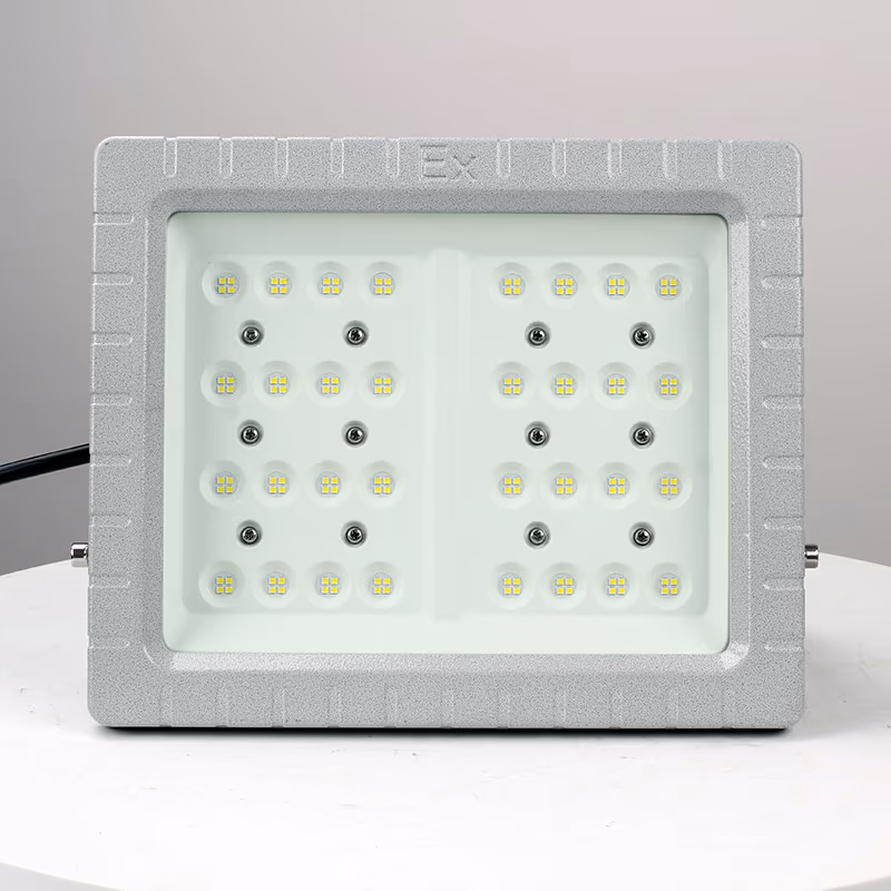 Explosion-Proof Light BED57-II detail