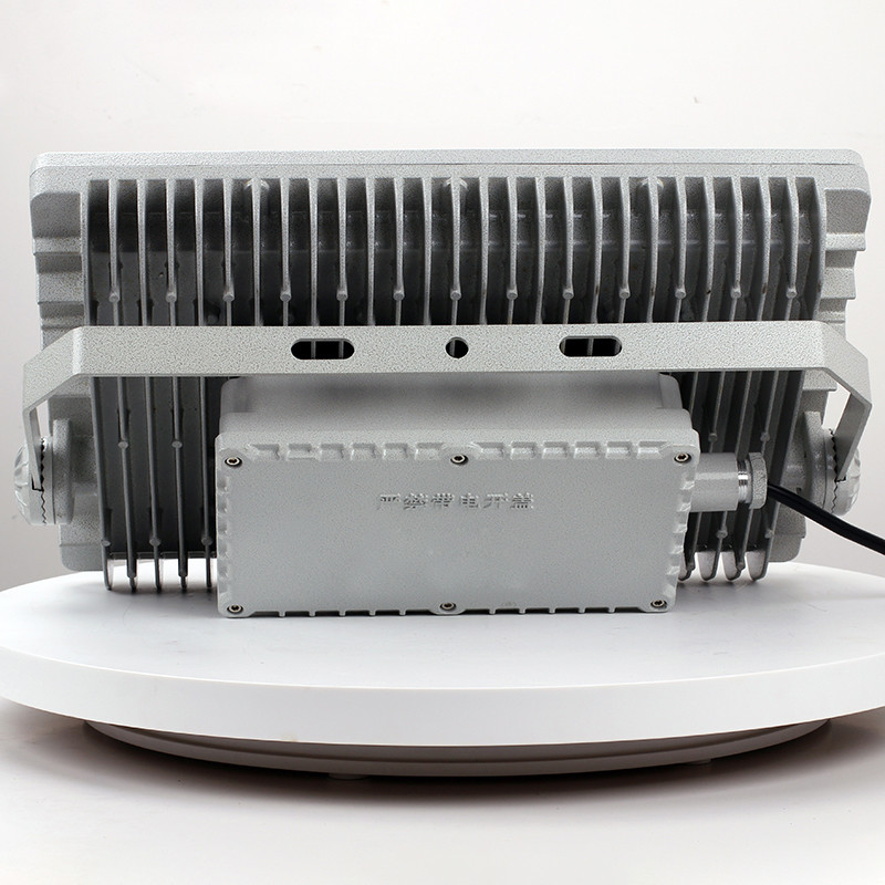 Explosion-Proof Light BED57-III detail