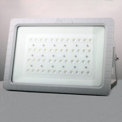Explosion-Proof Light BED57-IIIT detail