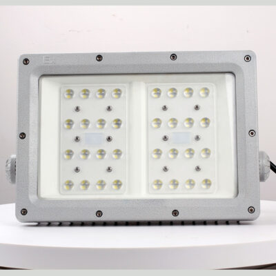 Explosion-Proof Light BED57-IIT detail