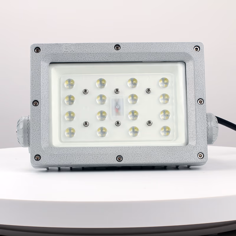 Explosion-Proof Light BED57-IT detail