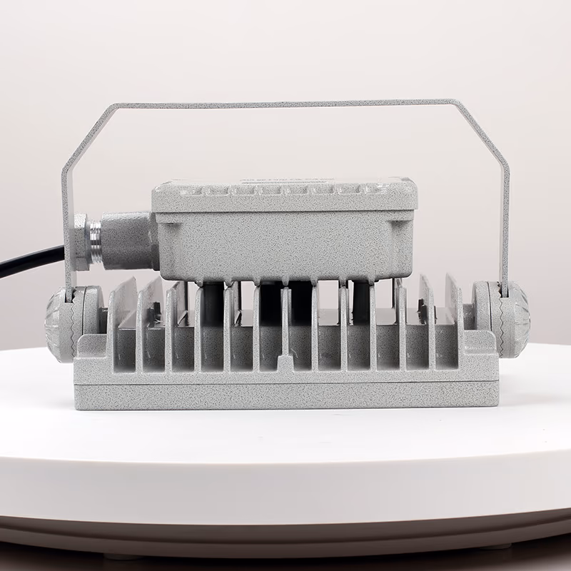 Explosion-Proof Light BED57-IT detail