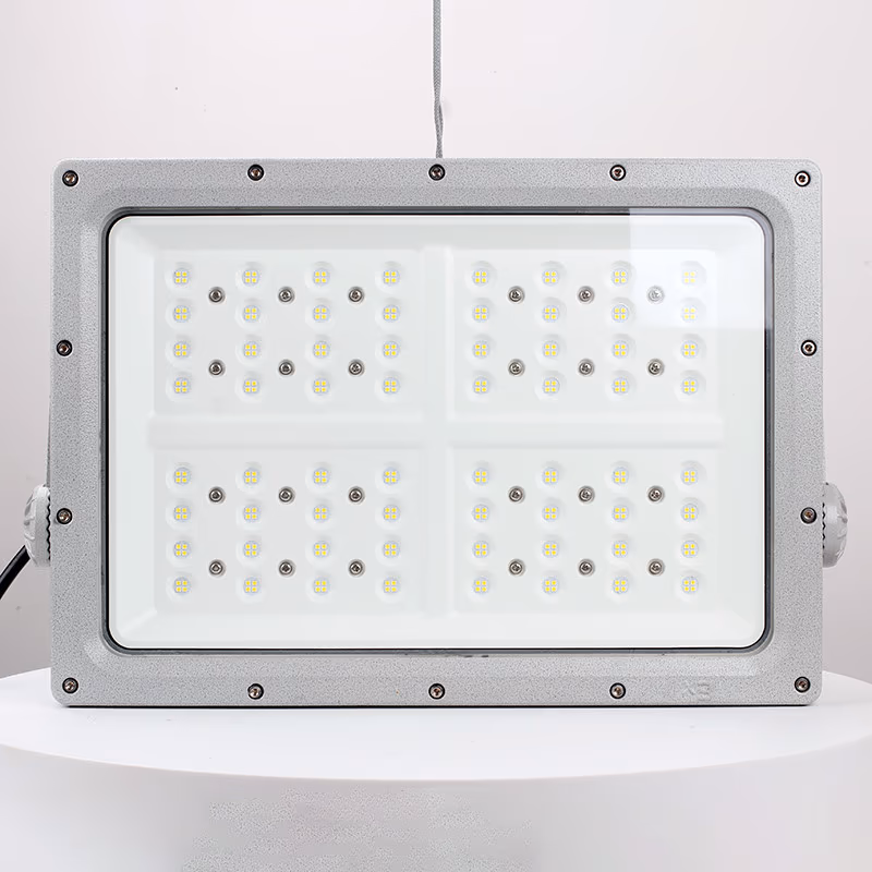 Explosion-Proof Light BED57-IV detail