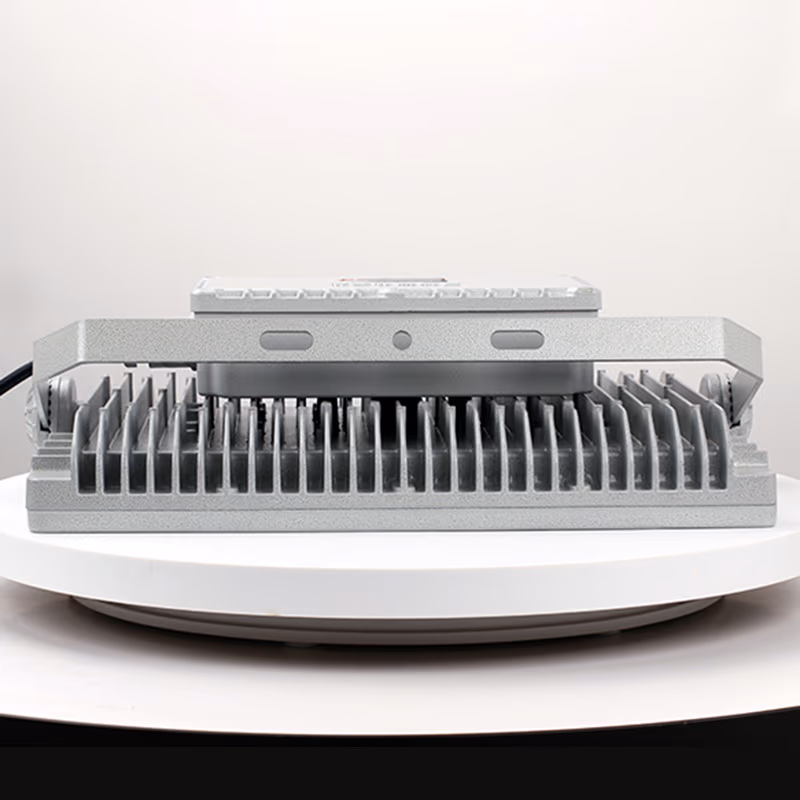 Explosion-Proof Light BED57-IV detail