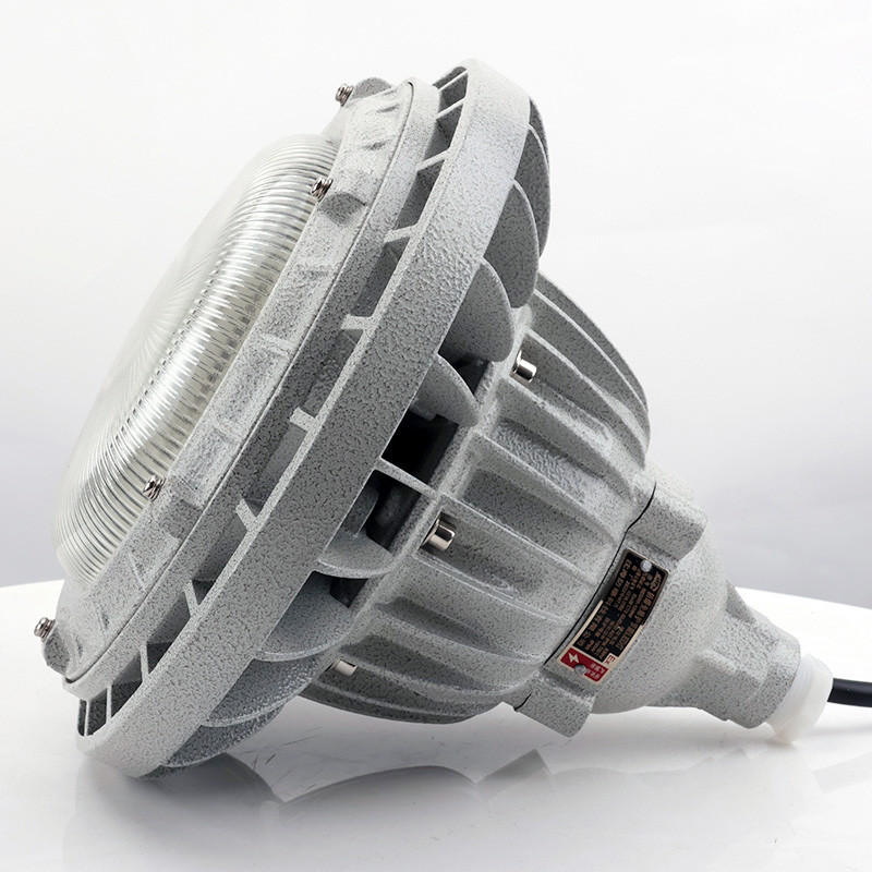 Explosion-Proof Light BED59-IIIS detail