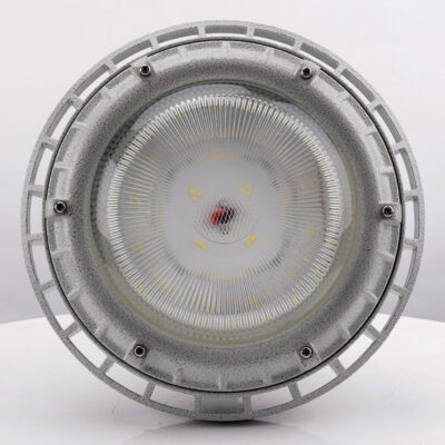 Détails du luminaire antidéflagrant BED59-IIIS
