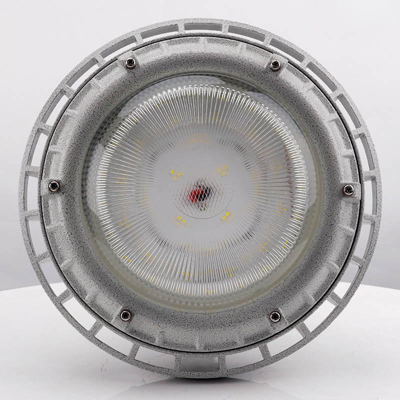 Explosion-Proof Light BED59-IIIS detail