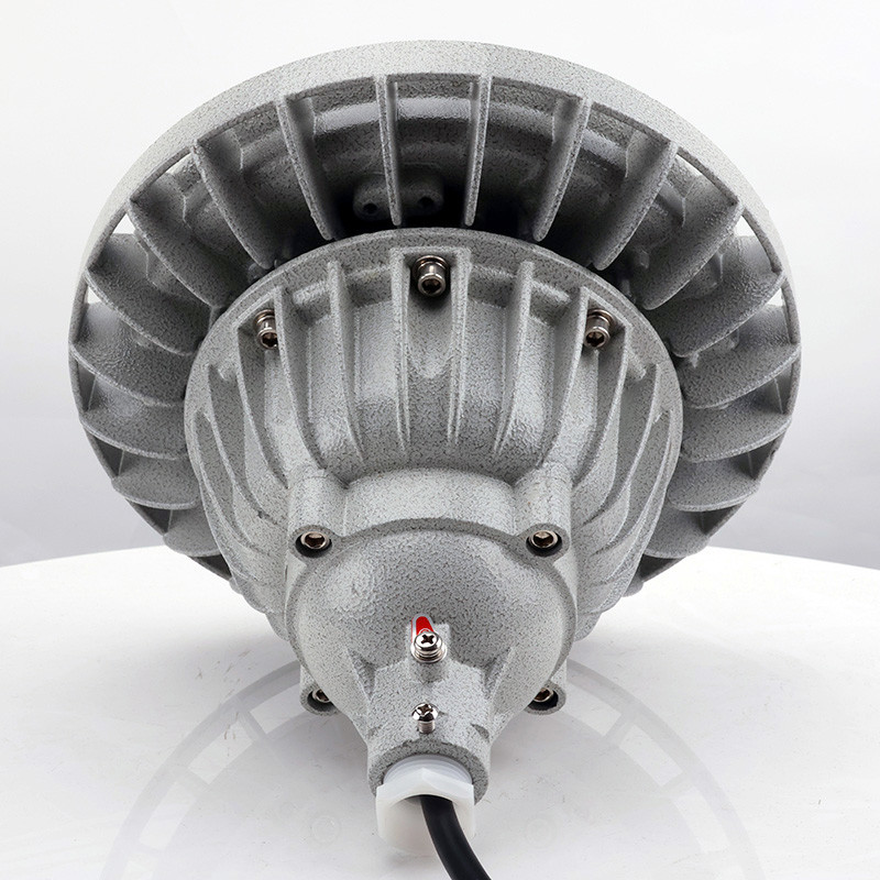 Explosion-Proof Light BED59-IIIS detail