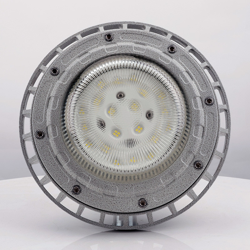 Explosion-Proof Light BED59-IIS detail