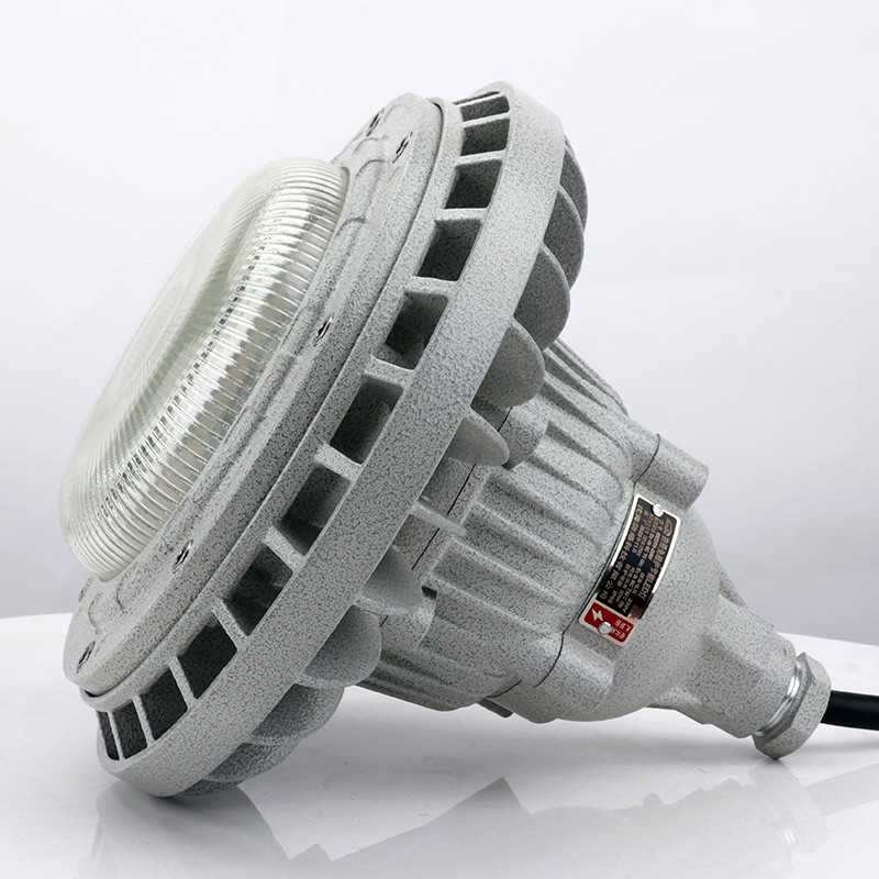 Explosion-Proof Light BED59-IIS detail