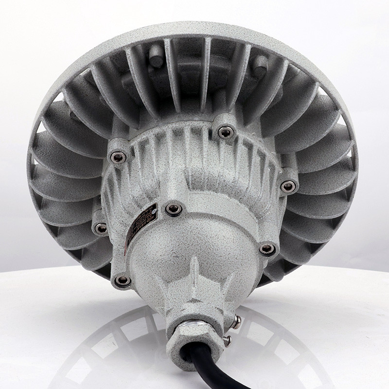 Explosion-Proof Light BED59-IIS detail