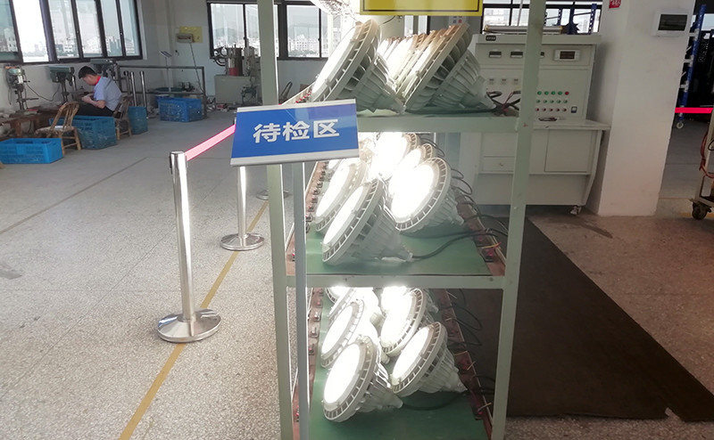 Explosion Proof Light BED59-IS - Explosion Proof Light - 9