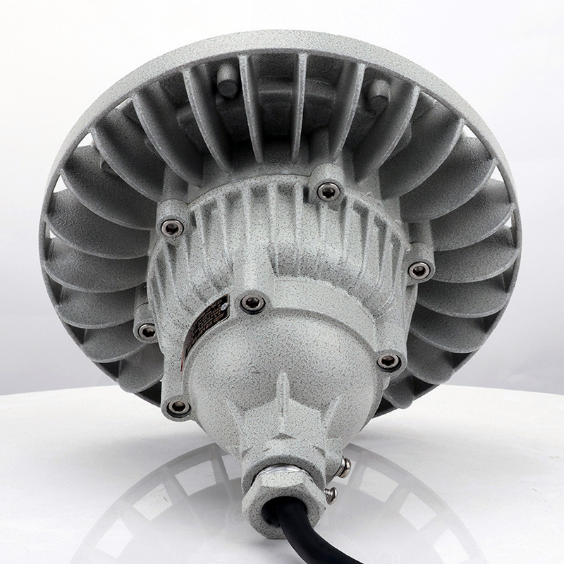 Explosion-Proof Light BED59-IS detail