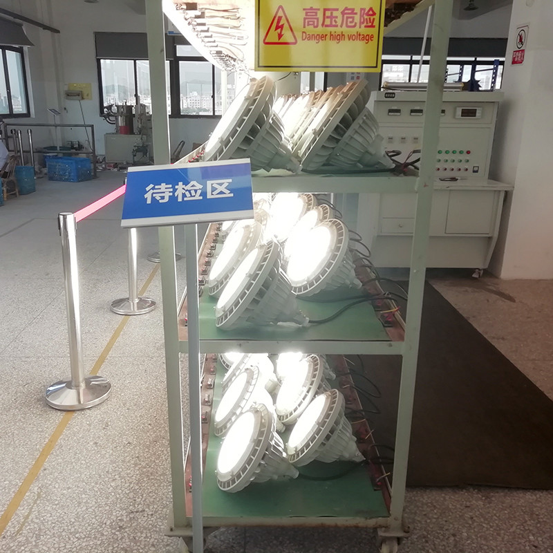 Explosion-Proof Light BED59-III detail