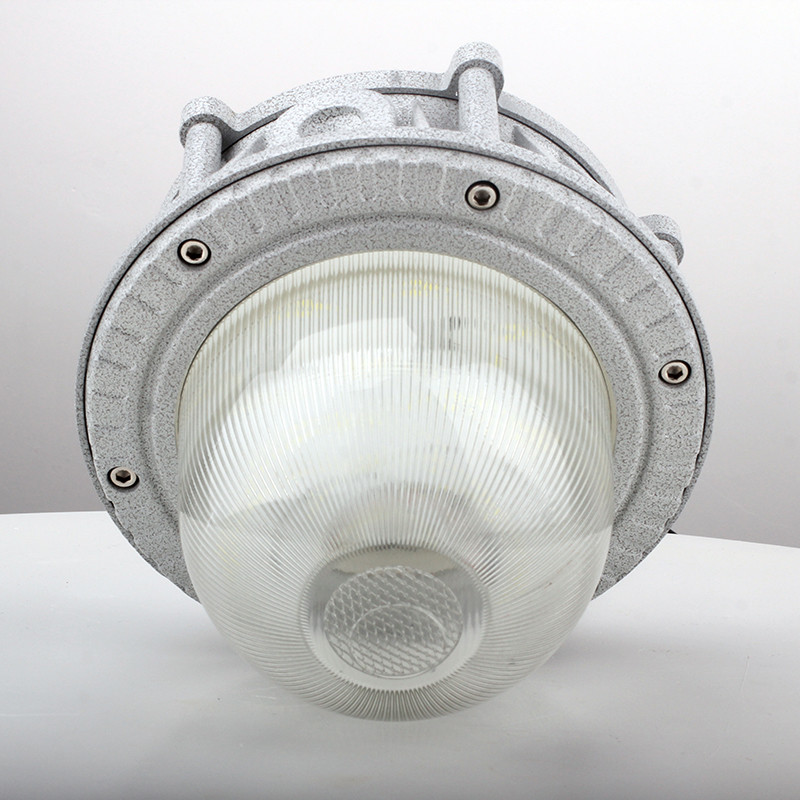 Explosion-Proof Light BED60-I detail