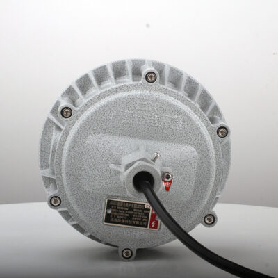 Explosion-Proof Light BED60-I detail