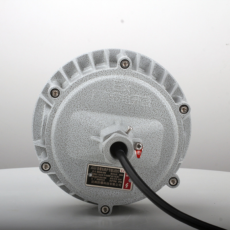 Explosion-Proof Light BED60-I detail