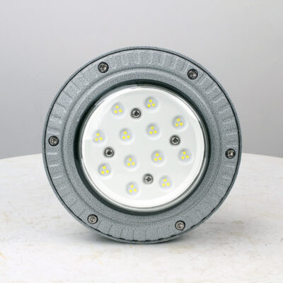 Explosion-Proof Light BED60-IA detail