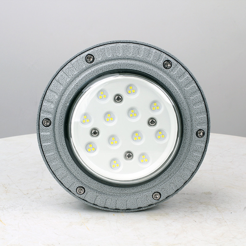 Explosion-Proof Light BED60-IA detail