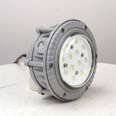 Explosion-Proof Light BED60-IA detail