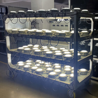 Explosion-Proof Light BED60-IA detail