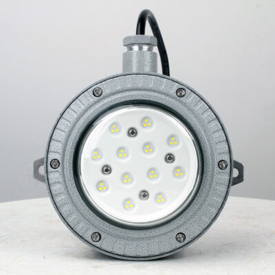 Explosion-Proof Light BED60-IAS detail