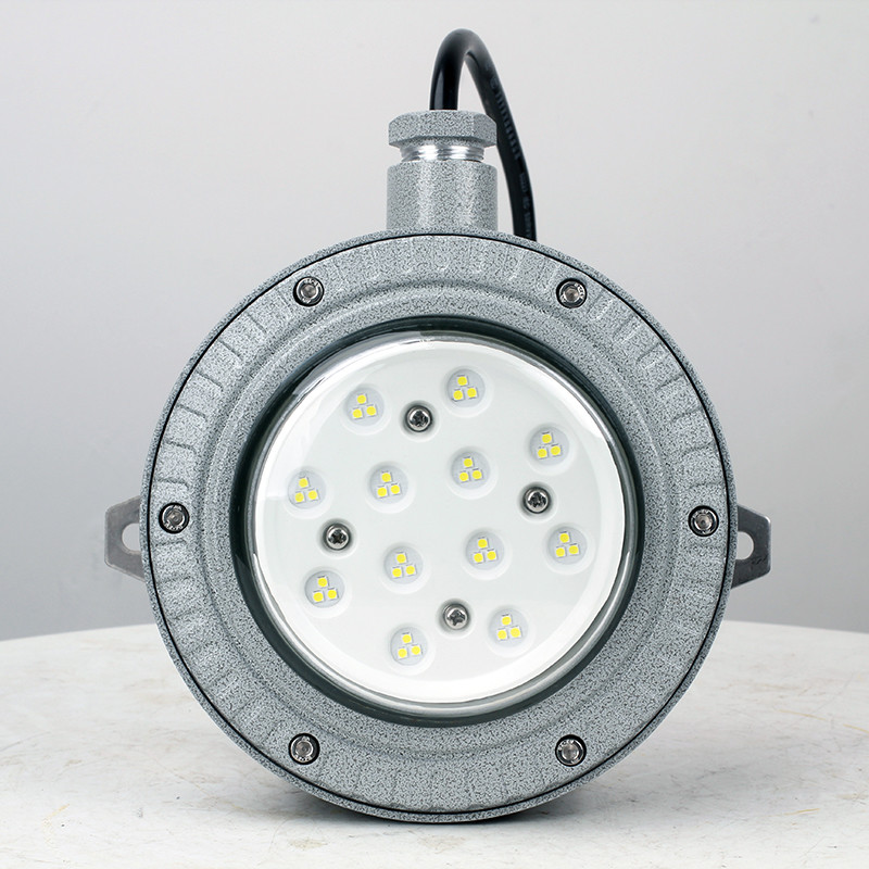 Explosion-Proof Light BED60-IAS detail