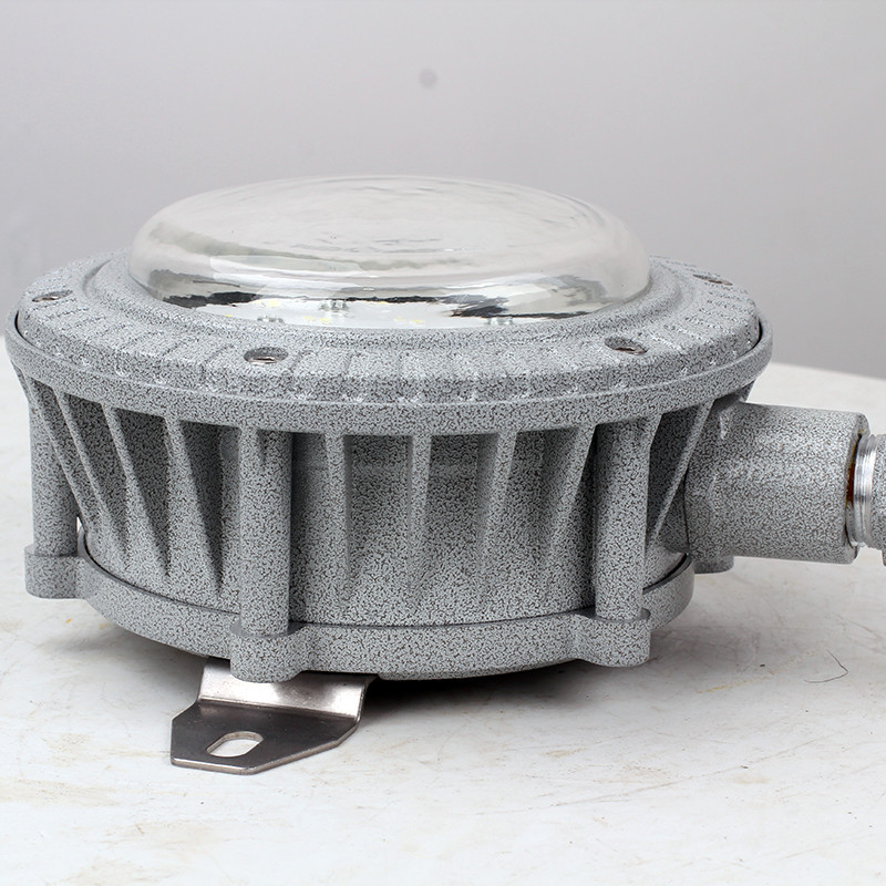 Explosion-Proof Light BED60-IAS detail