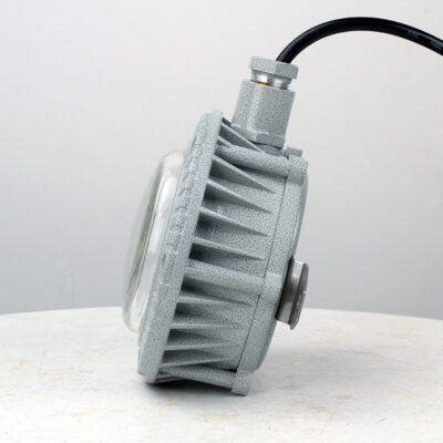 Explosion-Proof Light BED60-IAS detail