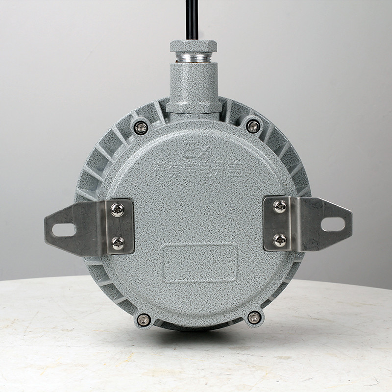 Explosion-Proof Light BED60-IAS detail