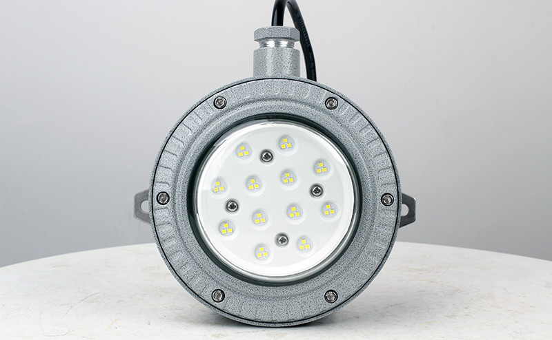 Explosion Proof Light BED60-IAS - Explosion Proof Light - 3