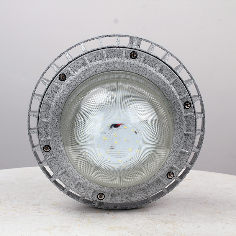 Explosion-Proof Light BED60-II detail