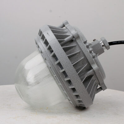 Explosion-Proof Light BED60-II detail