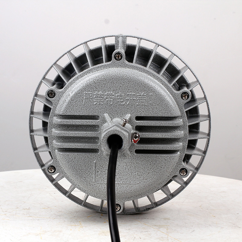 Explosion-Proof Light BED60-II detail