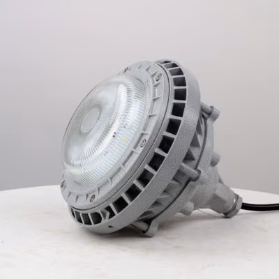 Explosion-Proof Light BED60-IIIA detail