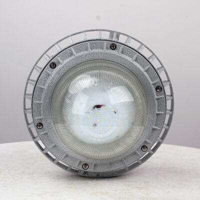 Explosion-Proof Light BED60-IV detail