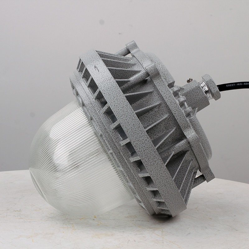 Explosion-Proof Light BED60-IV detail