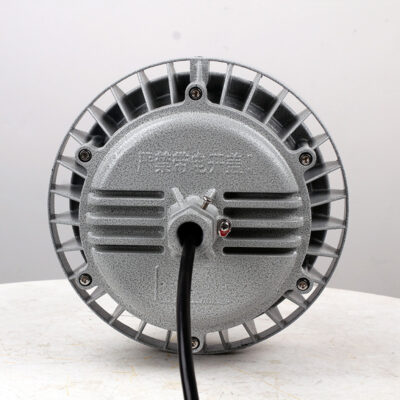 Explosion-Proof Light BED60-IV detail