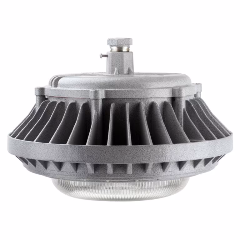 Explosion-Proof Light BED60-IVA