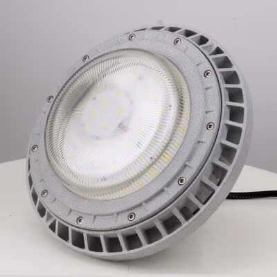 Explosion-Proof Light BED60-IVA detail
