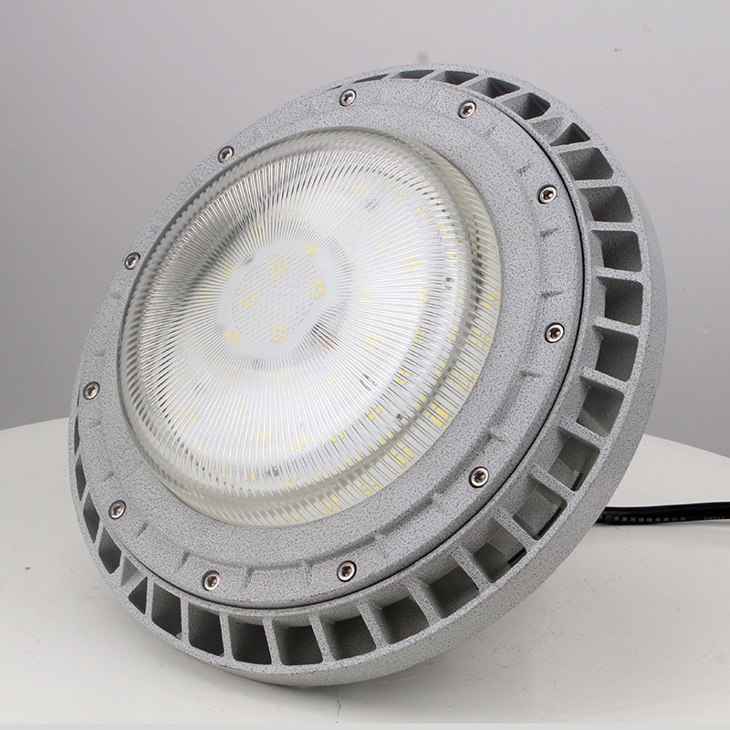 Explosion-Proof Light BED60-IVA detail